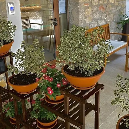 Hotell Casa Del Pastore