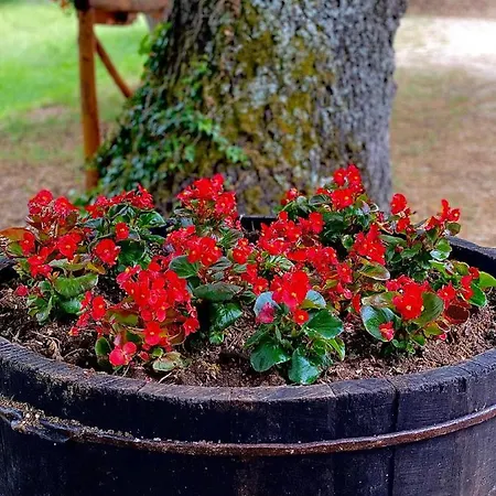 Casa Del Pastore Rosello