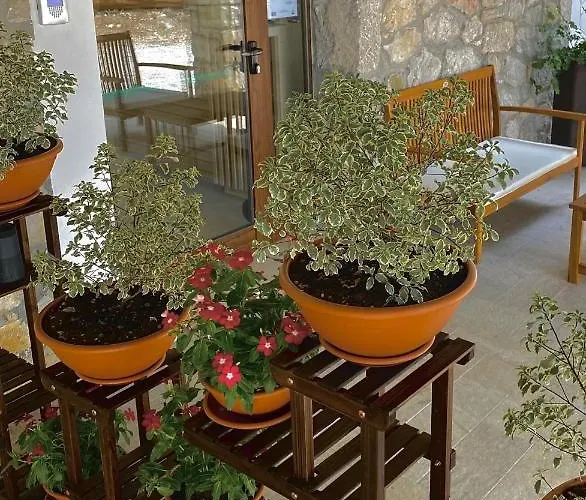 Hotel Casa Del Pastore